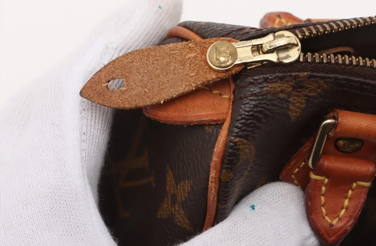 Louis Vuitton Nano Speedy